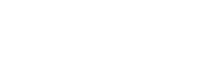 White Analiz logo